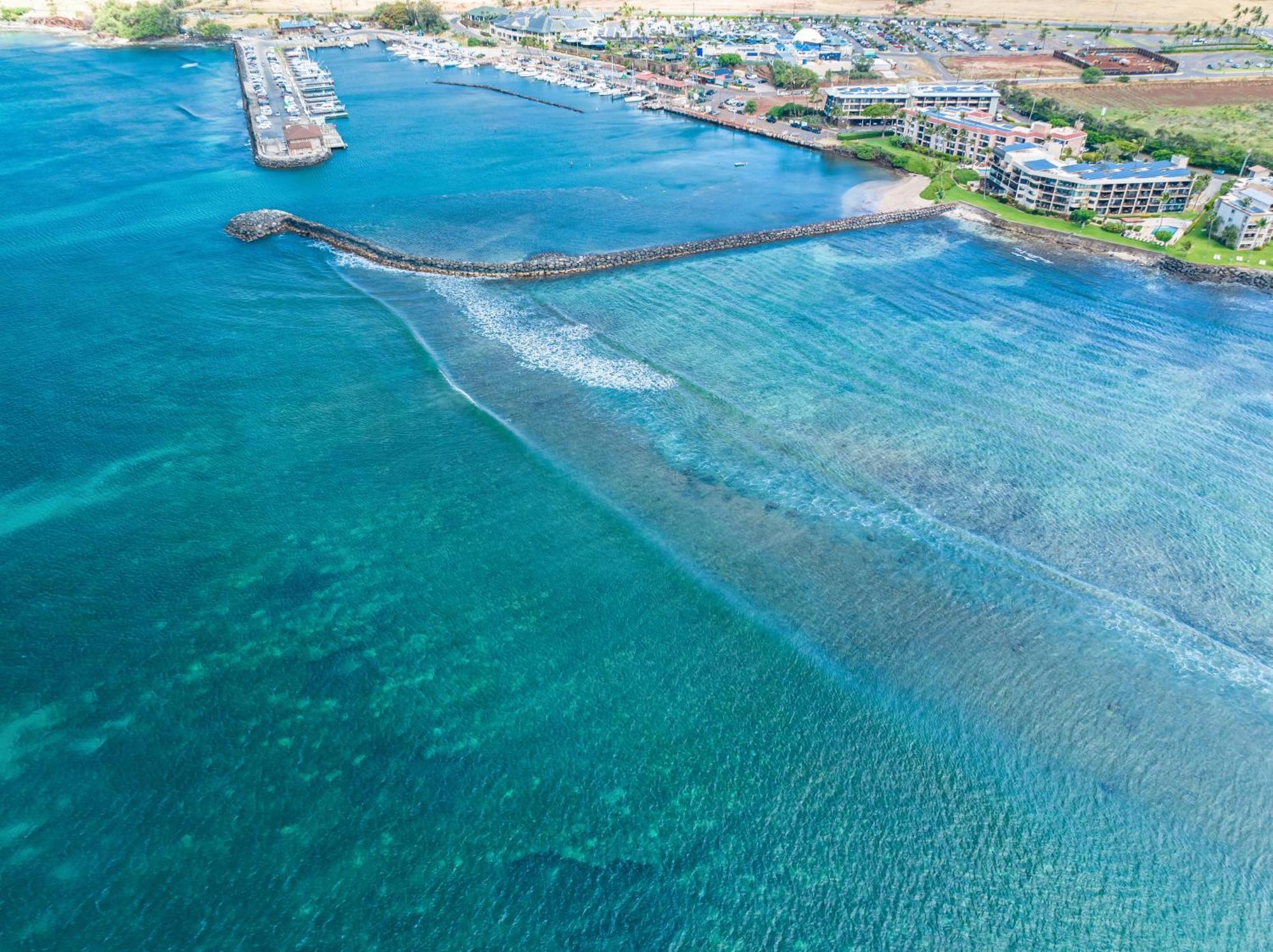 106 Milowai Wailuku Экстерьер фото